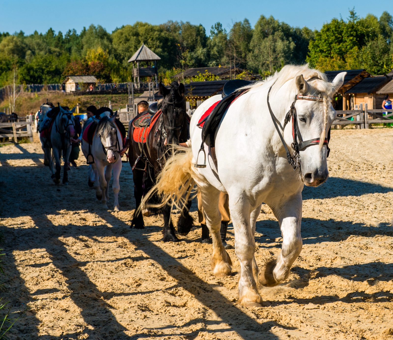 Ali je konjeniški tabor prava izbira za vašega otroka ?